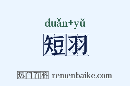 短羽是什么意思的图片